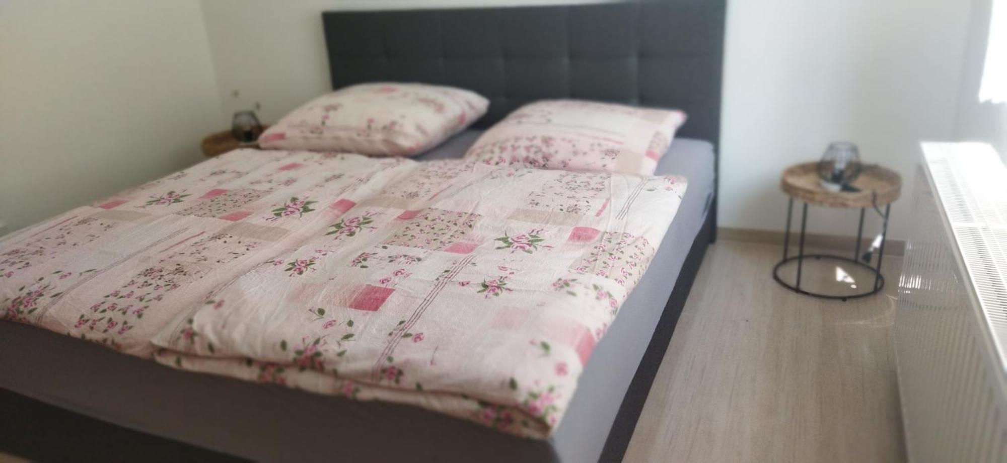 Fewo 1 Thale Ngoại thất bức ảnh
